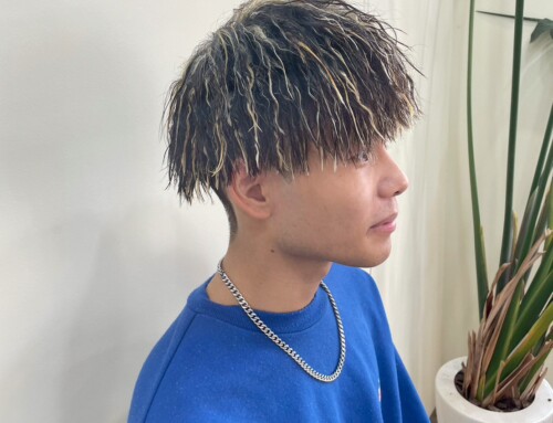 ツイストメッシュ